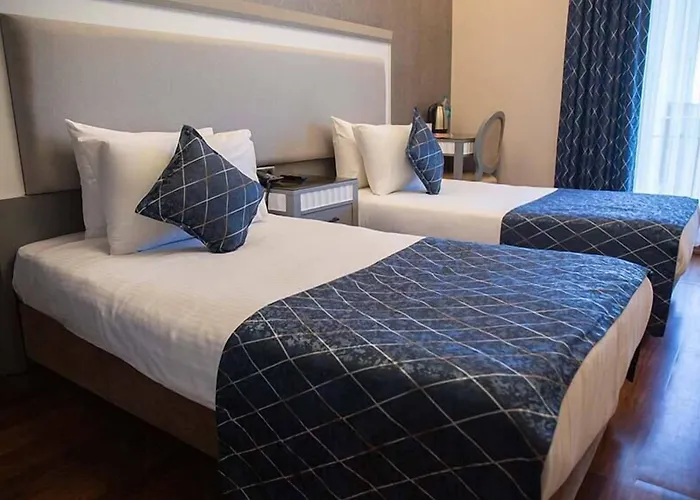 Hotel Taksim Stare Istanboel